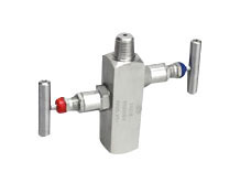 2 Way Manifold Valves Suppliers in India
