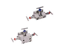 3 Way Manifold Valves Manufacturers in India