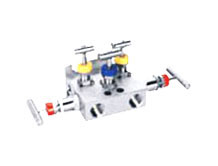 5 Way Manifold Valves exporters in India